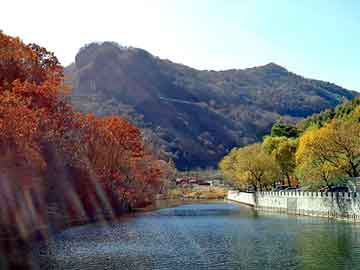 澳门二四六天天彩图库，雷山seo培训